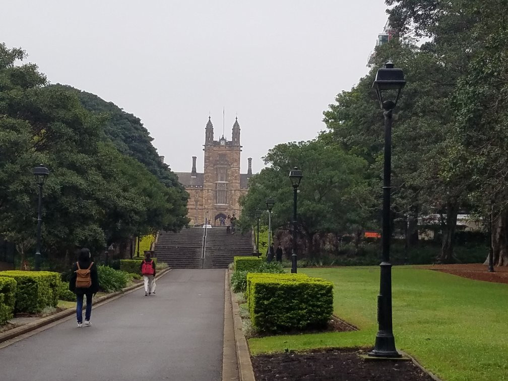 Urban Caterpillar-悉尼必去景点