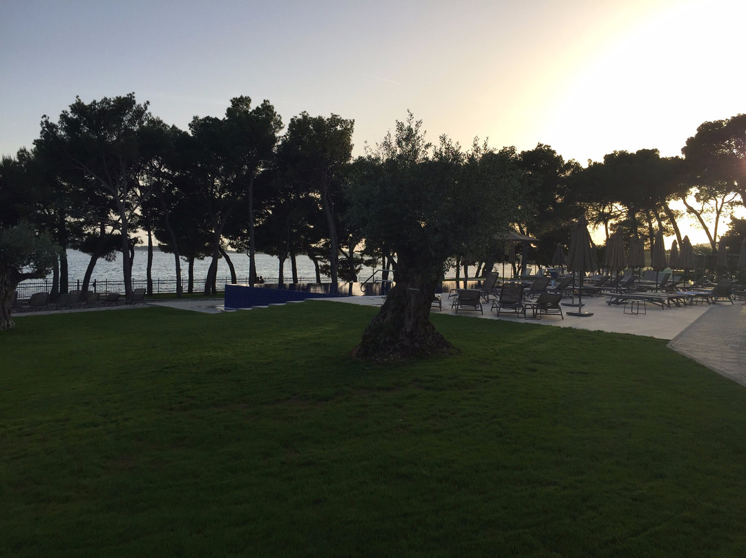 Hotel Villa Arausana & Antonina主图