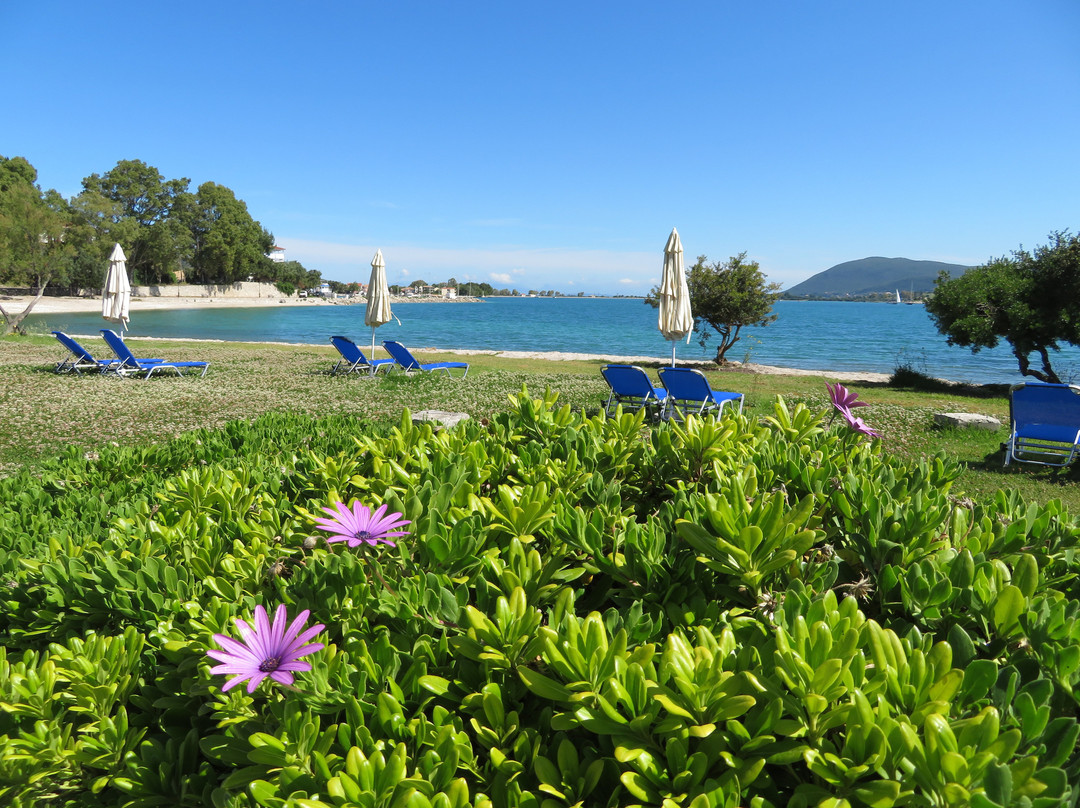 Hotel Porto Ligia主图