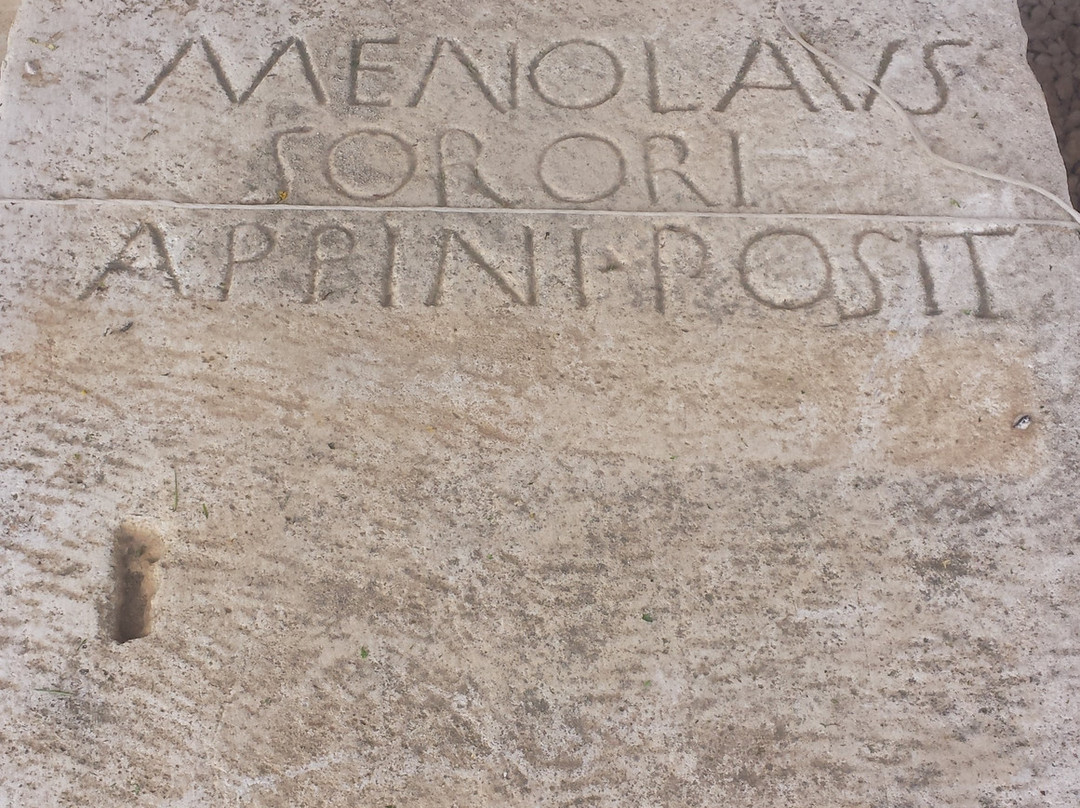 Teatro Romano di Amiternum景点图片