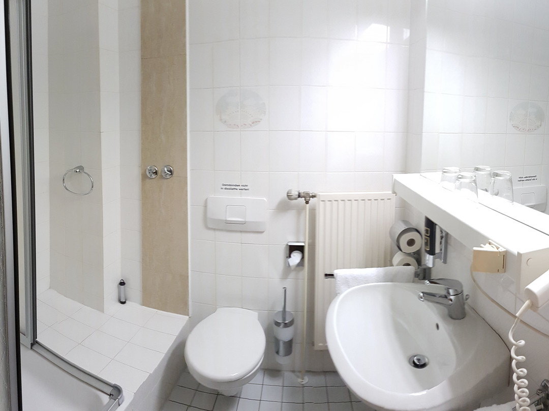 Hotel Schweizer Haus主图