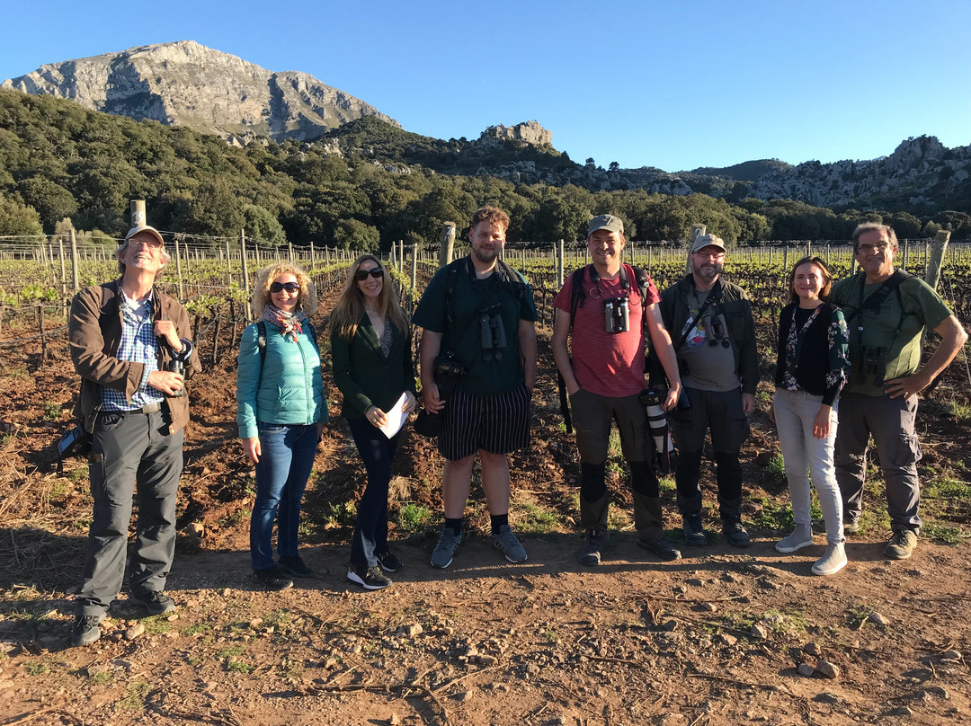 Vinyes Mortitx-Escorca必去景点