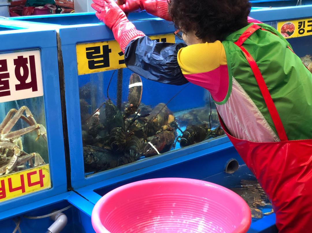 Masan Fish Market-昌原市必去景点