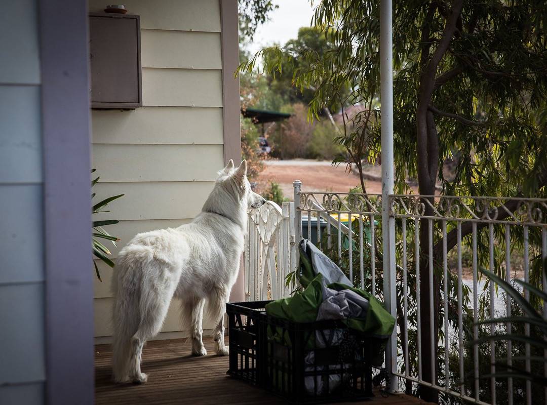 Hillside Country Retreat主图