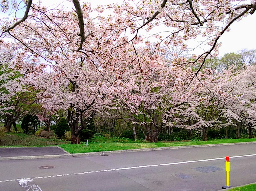 Toda Memorial Park Cemetery-石狩市必去景点