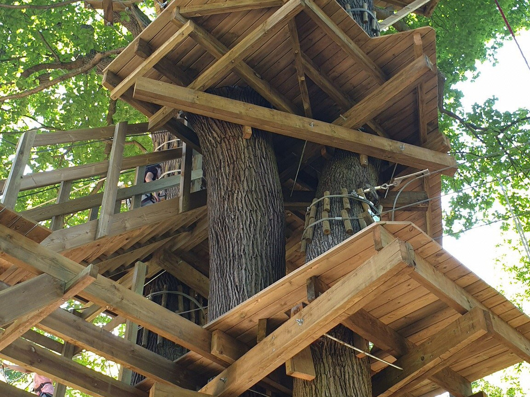 AccroCamp Saint-Germain-en-Laye-圣日尔曼莱昂必去景点