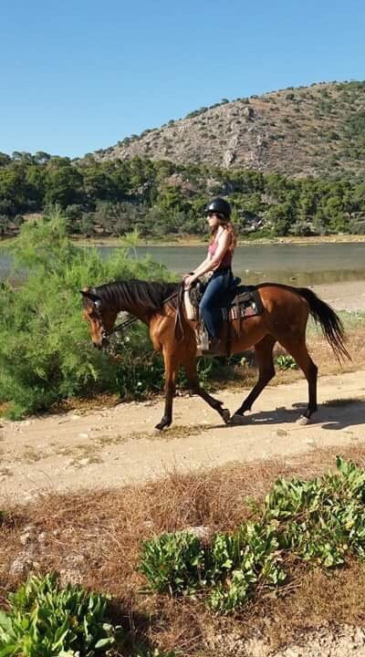 Horse Riding Aponisos景点图片
