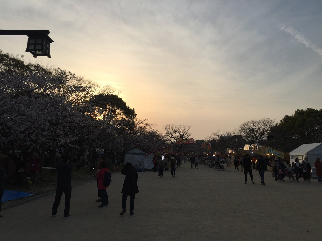Nishi Park景点图片
