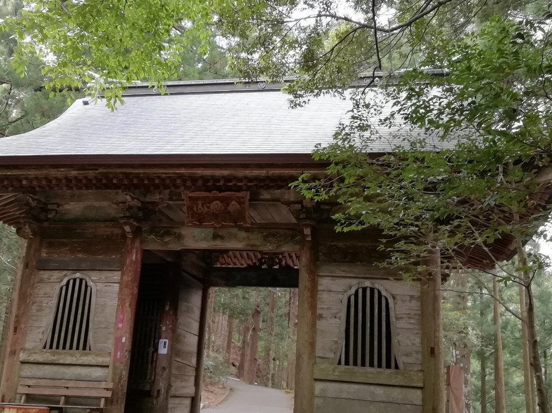 Tairyu-ji Temple  Niomon-阿南市必去景点