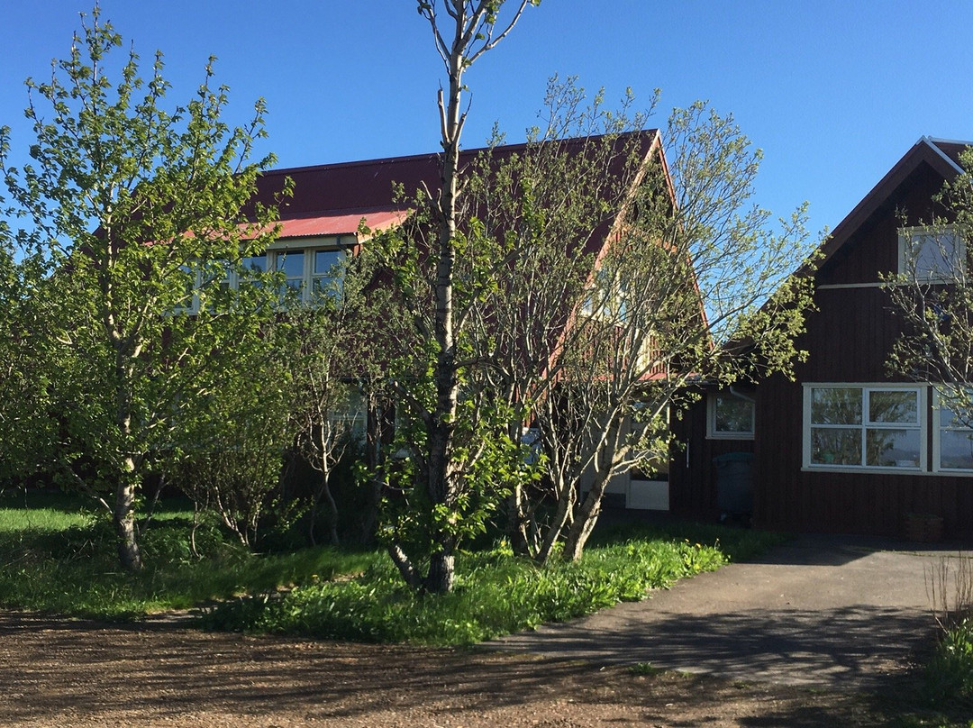 Guesthouse Milli Vina主图