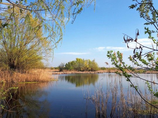 Alternative Tours & Events-布加勒斯特必去景点