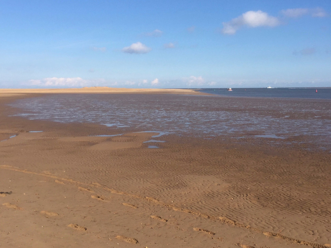 Holkham National Nature Reserve景点图片