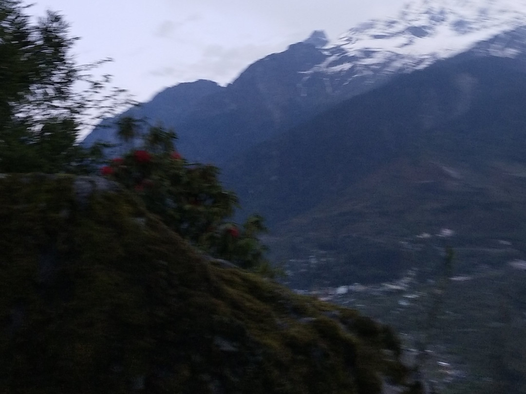 Hotel Season House主图