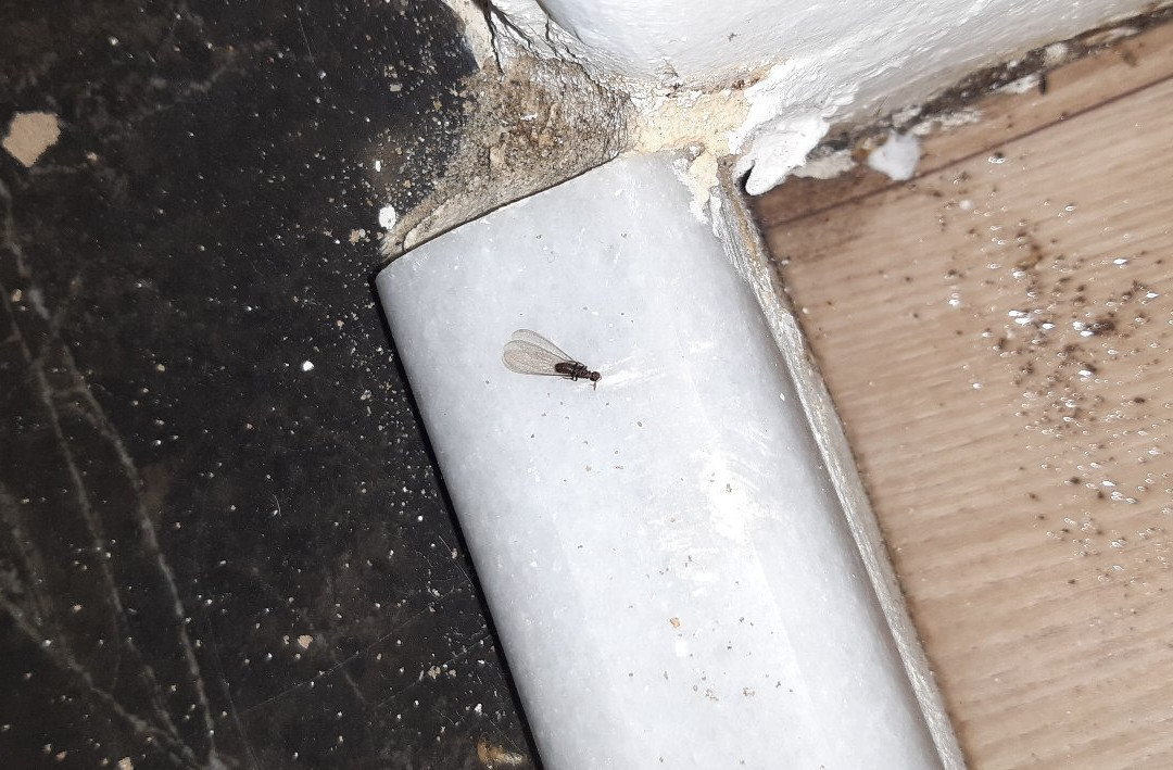 Zante Blue Beach Hotel主图