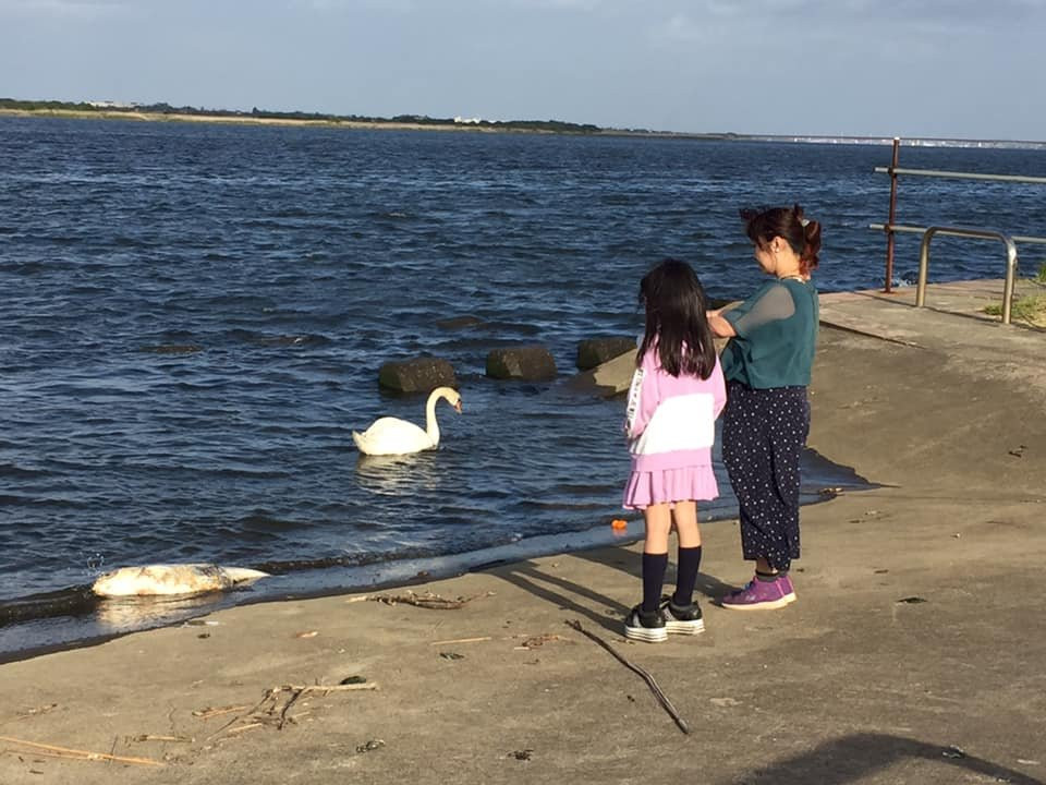 Sakuraicho Park-铫子市必去景点