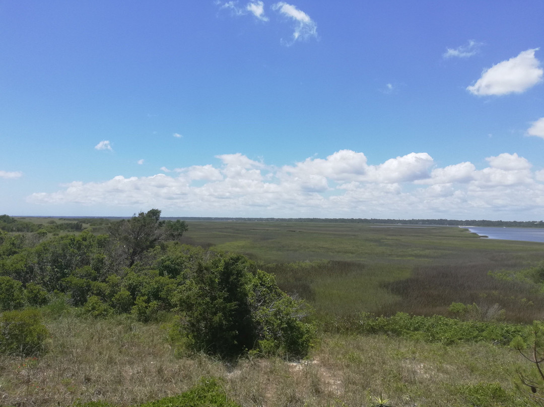 Masonboro Island Reserve景点图片
