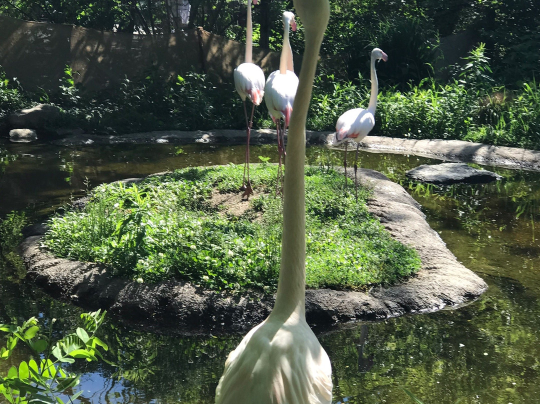 Cincinnati Zoo & Botanical Garden景点图片