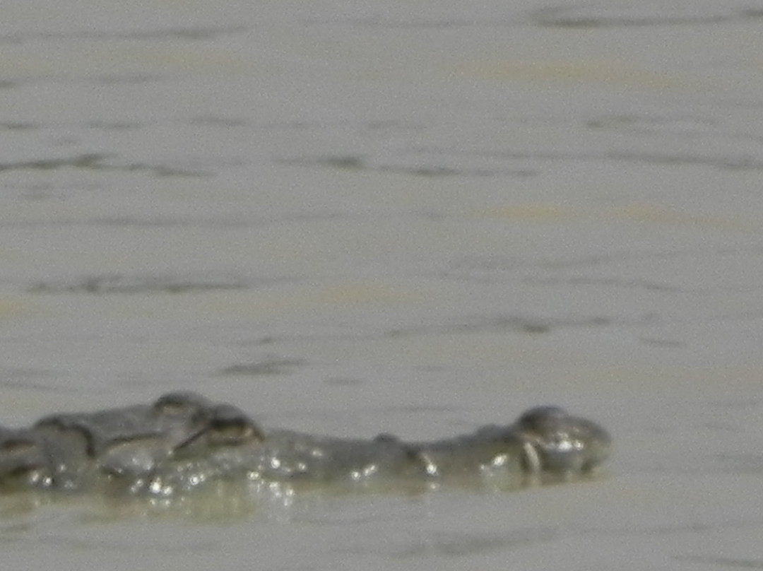 Pendjari National Park-Tanguieta必去景点