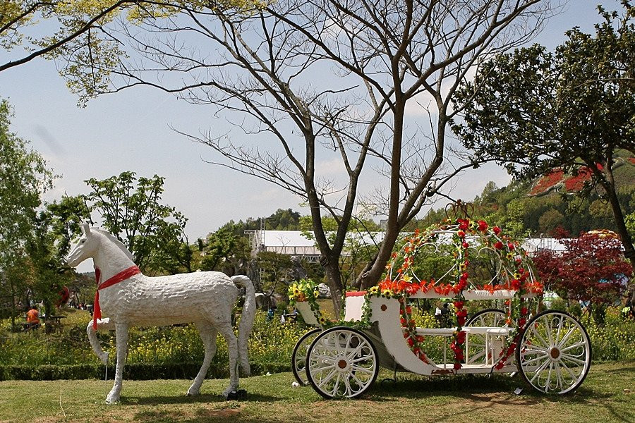 Hampyeong Butterfly Festival-咸平郡必去景点