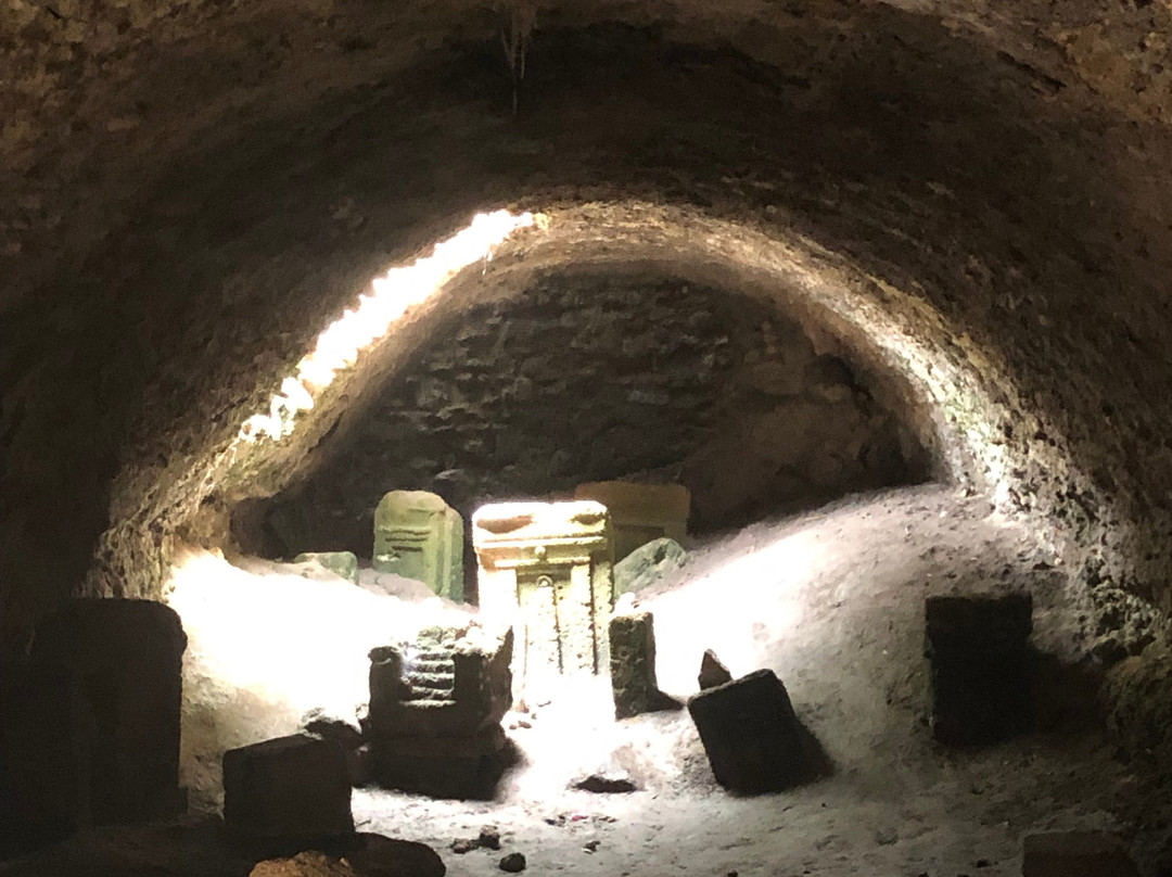 Residence Carthage主图