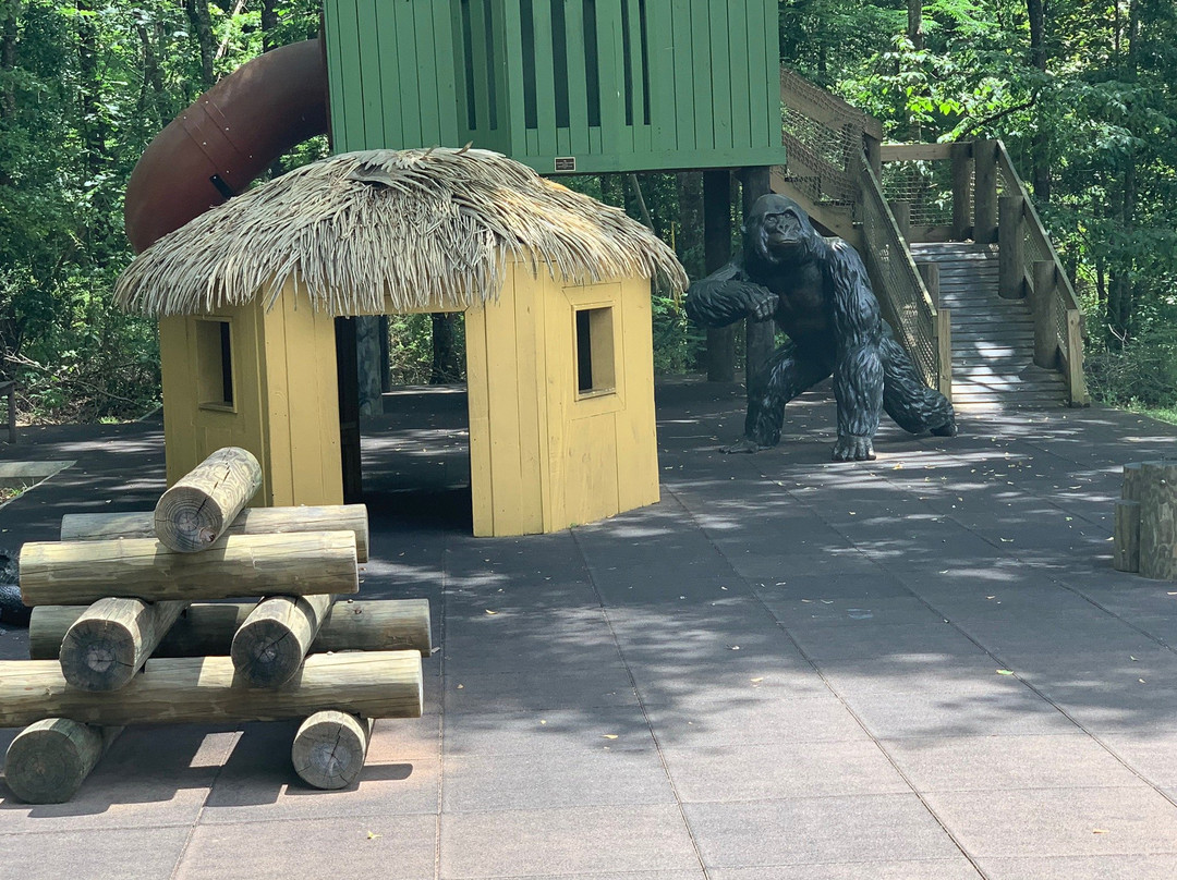 Dothan Area Botanical Gardens-多森必去景点