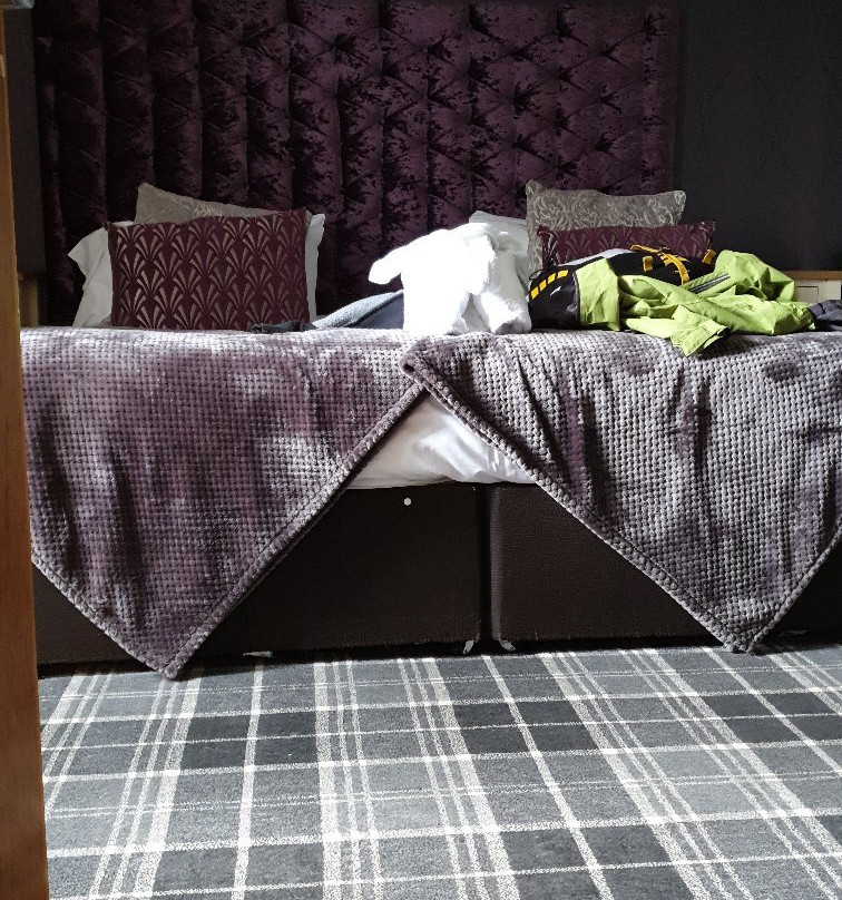 The Albert Inn主图