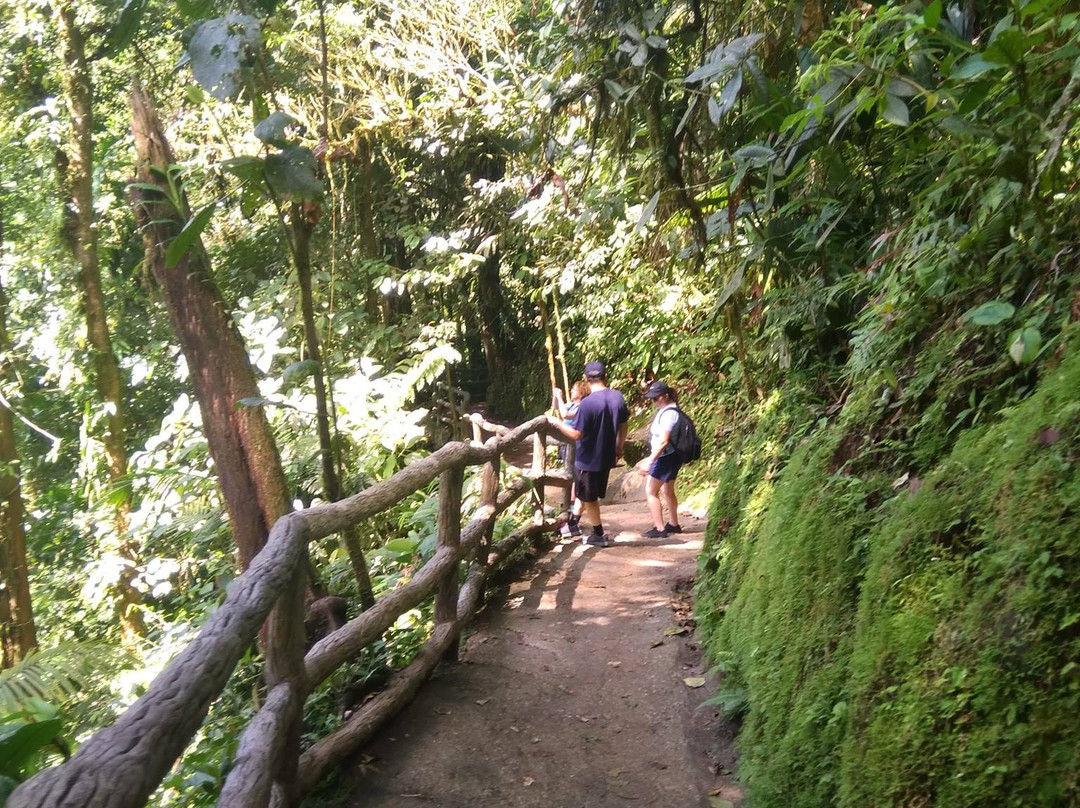 Roadrunner Transfers Costa Rica-塔马林多必去景点