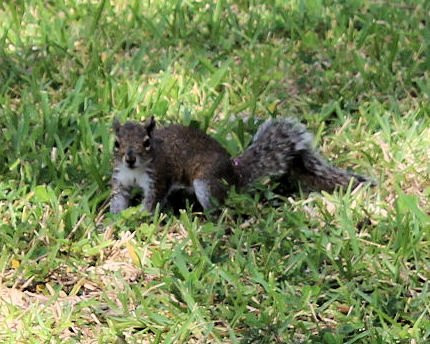 John & Rebecca Neal Park-布雷登顿必去景点