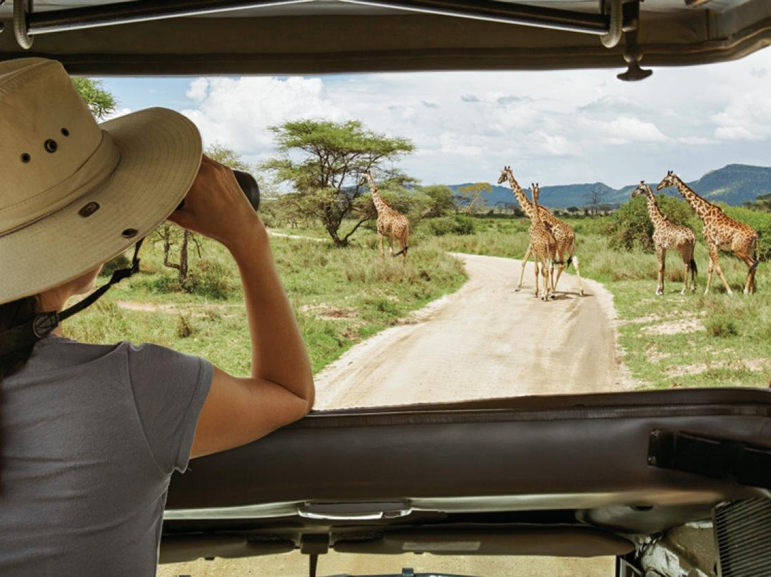 Let's View Tanzania-乞力马扎罗山国家公园必去景点