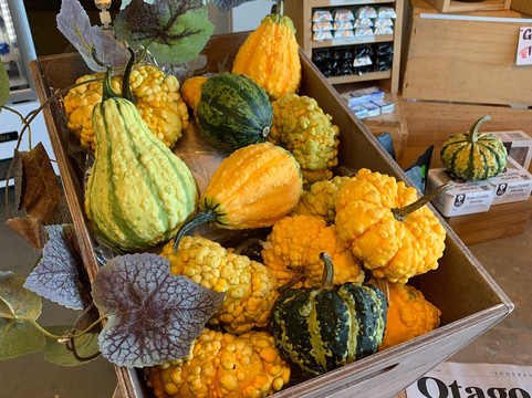 Jackson Orchards-克伦威尔镇必去景点