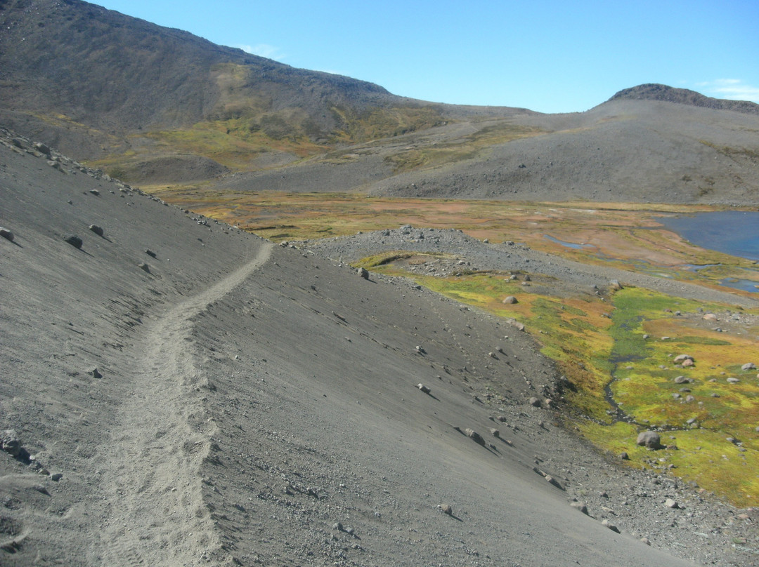 Volcán Copahue景点图片