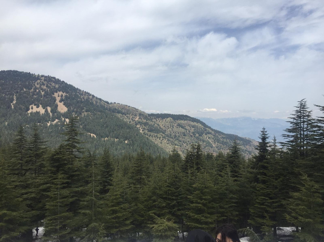 Gurlesen旅游攻略图片