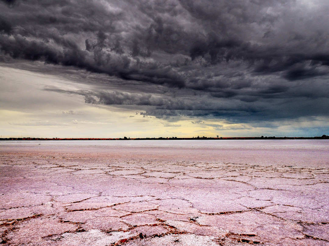 Pink Lake景点图片