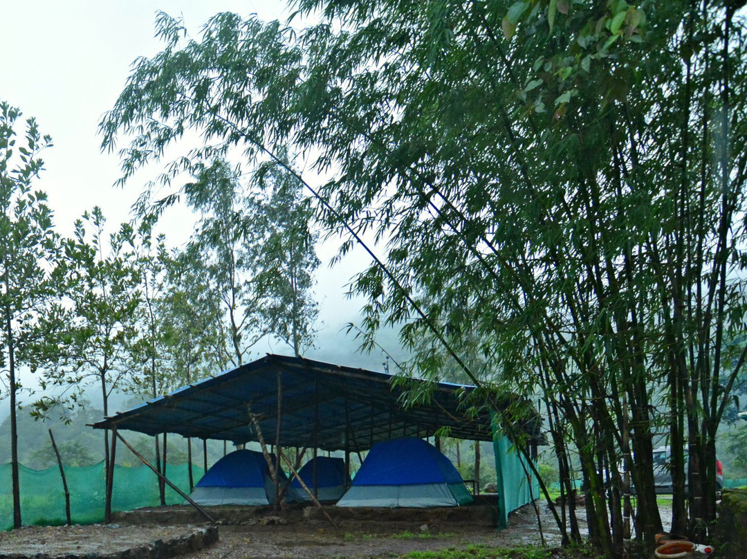 The Forest Farm