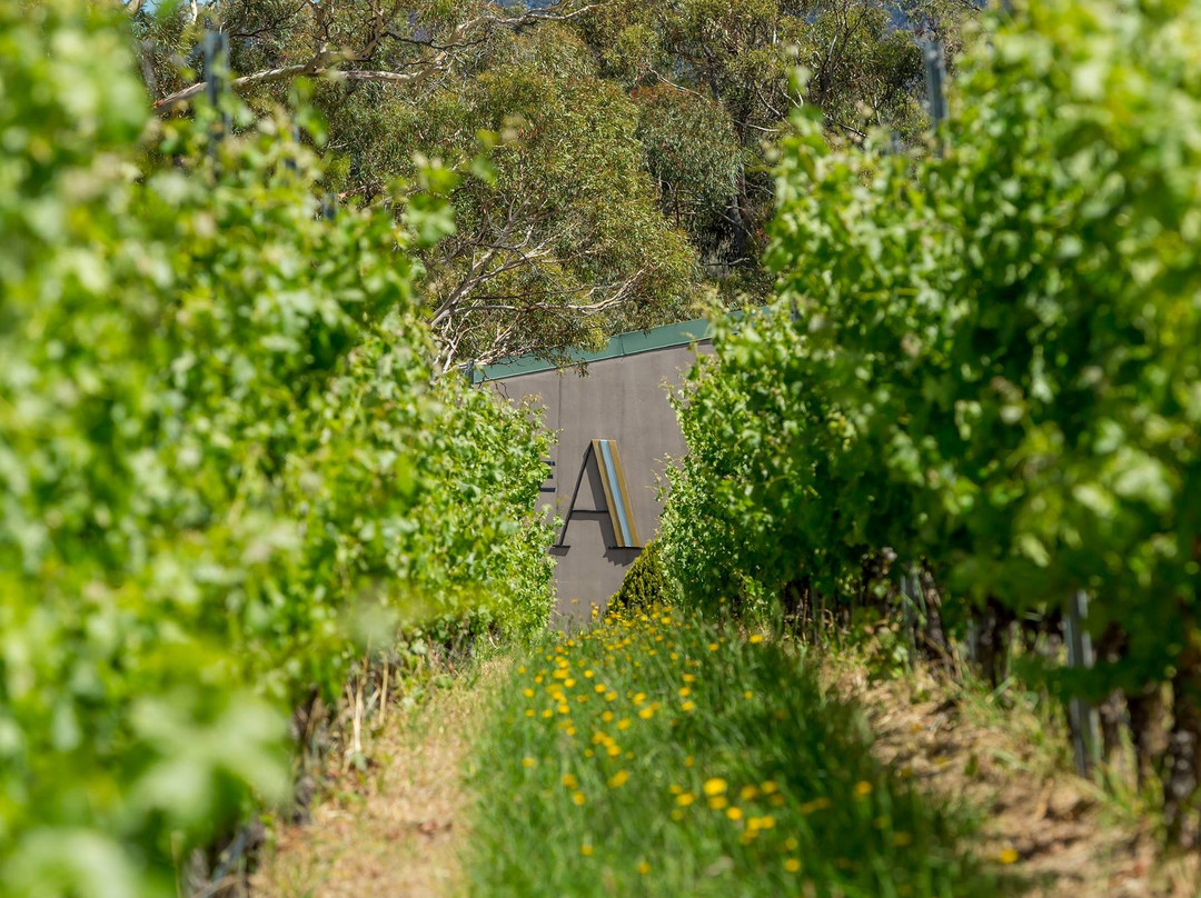 Terroir Wine Tours Tasmania景点图片