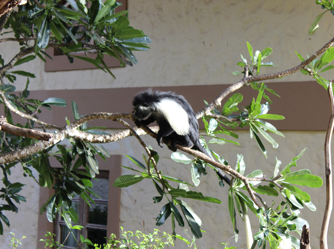 Neptune Village Beach Resort & Spa主图