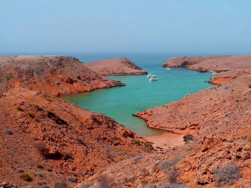 ROYAL MARINE TOURS- Daymaniat Island-锡卜必去景点