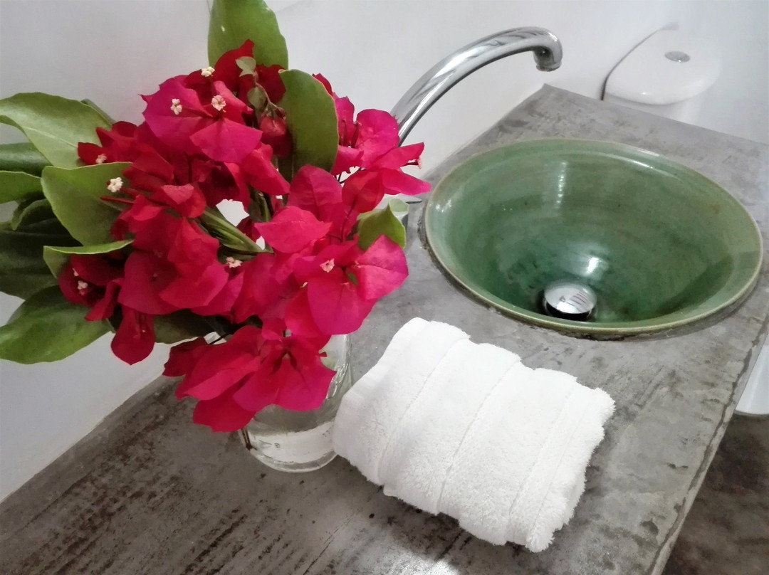 Posada Casa Las Trinitarias主图