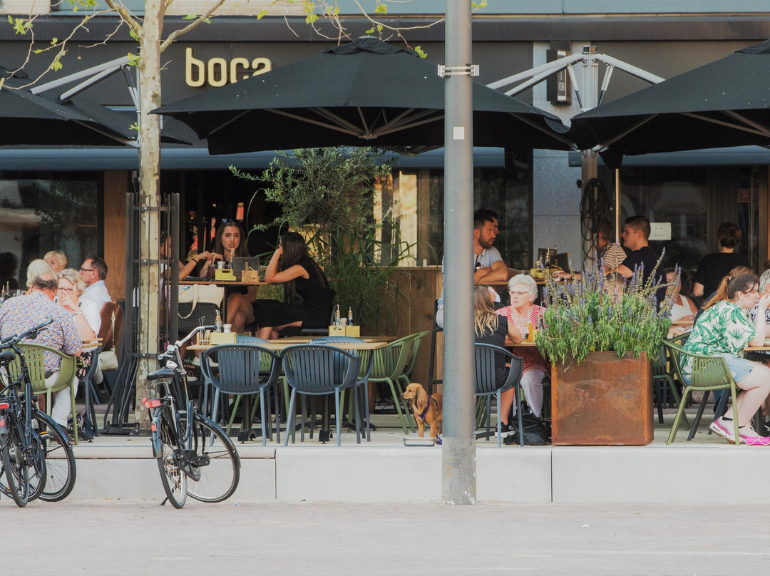 Houten餐馆和美食-Boca Bar & Kitchen