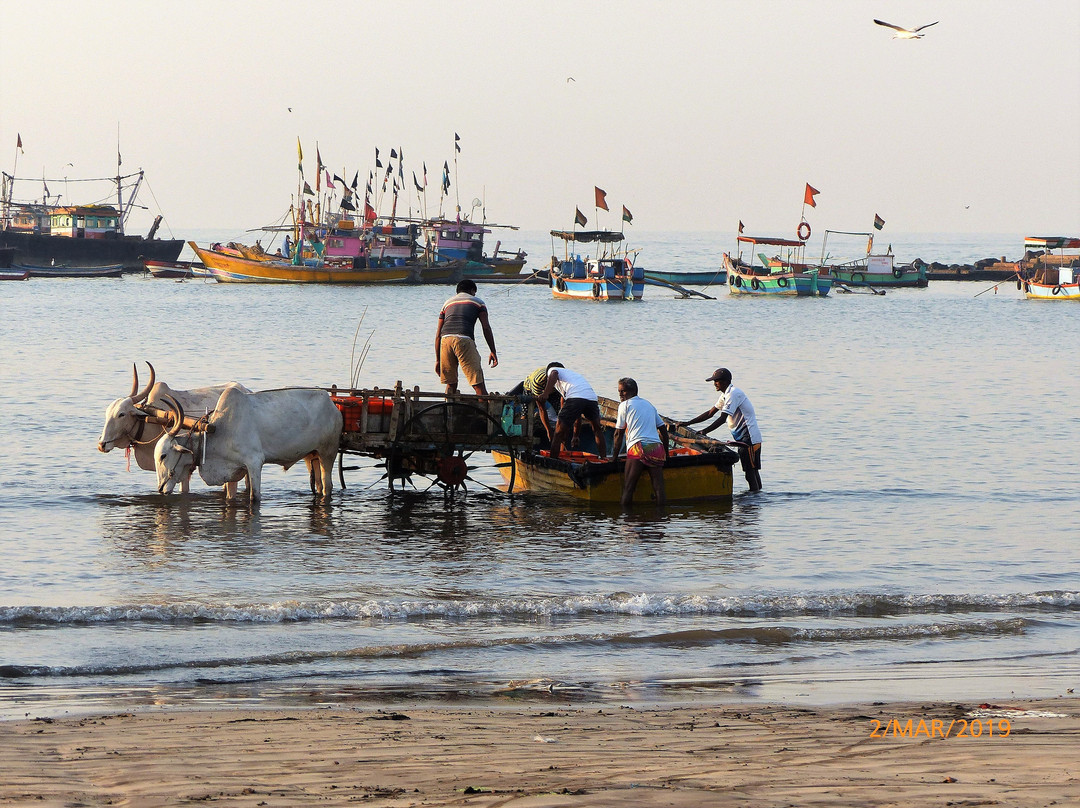 Harnai Fish Market景点图片
