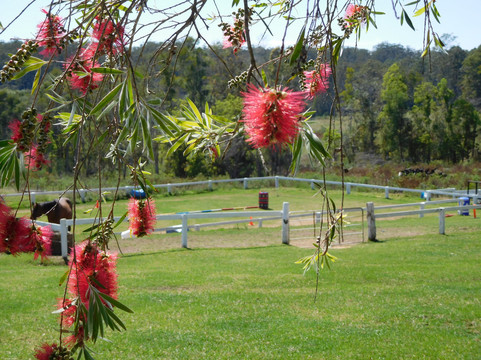 Valery Trails & Horse Riding Centre-贝林真必去景点