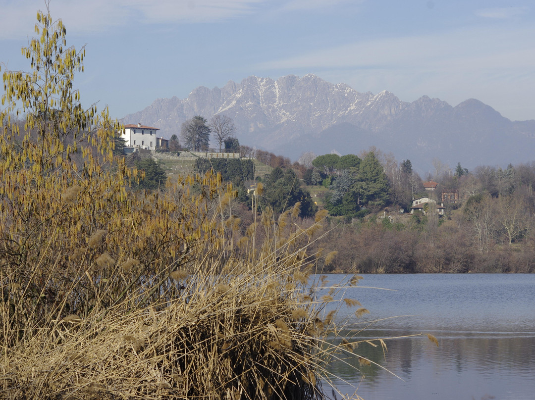 Lago di Sartirana景点图片