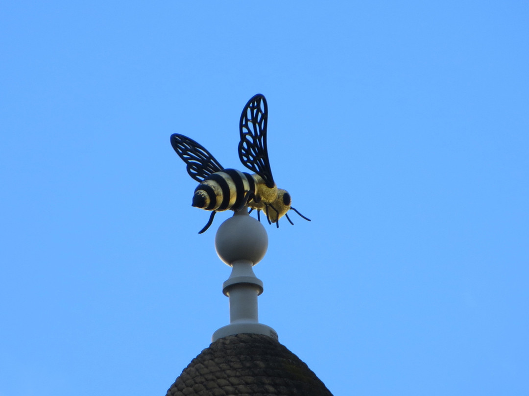Beehive Corner Building-阿德莱德必去景点
