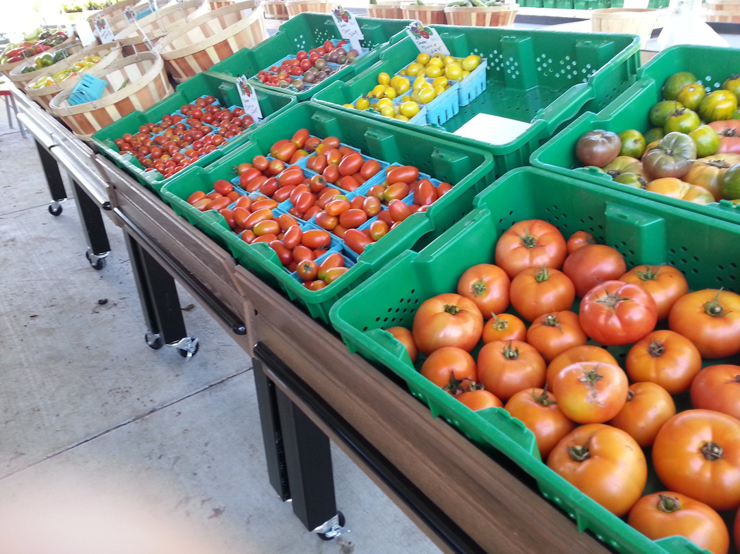Minnesota Fresh Farm-East Bethel必去景点