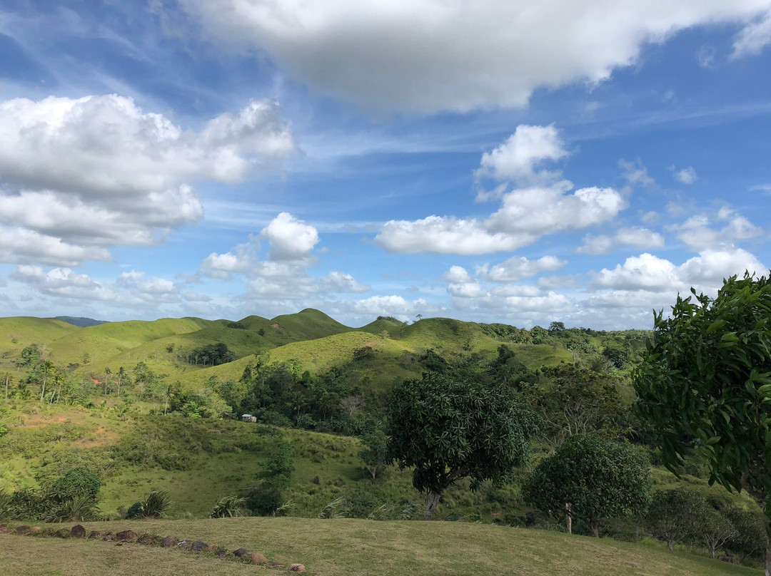 Hilltop 360 View Park景点图片