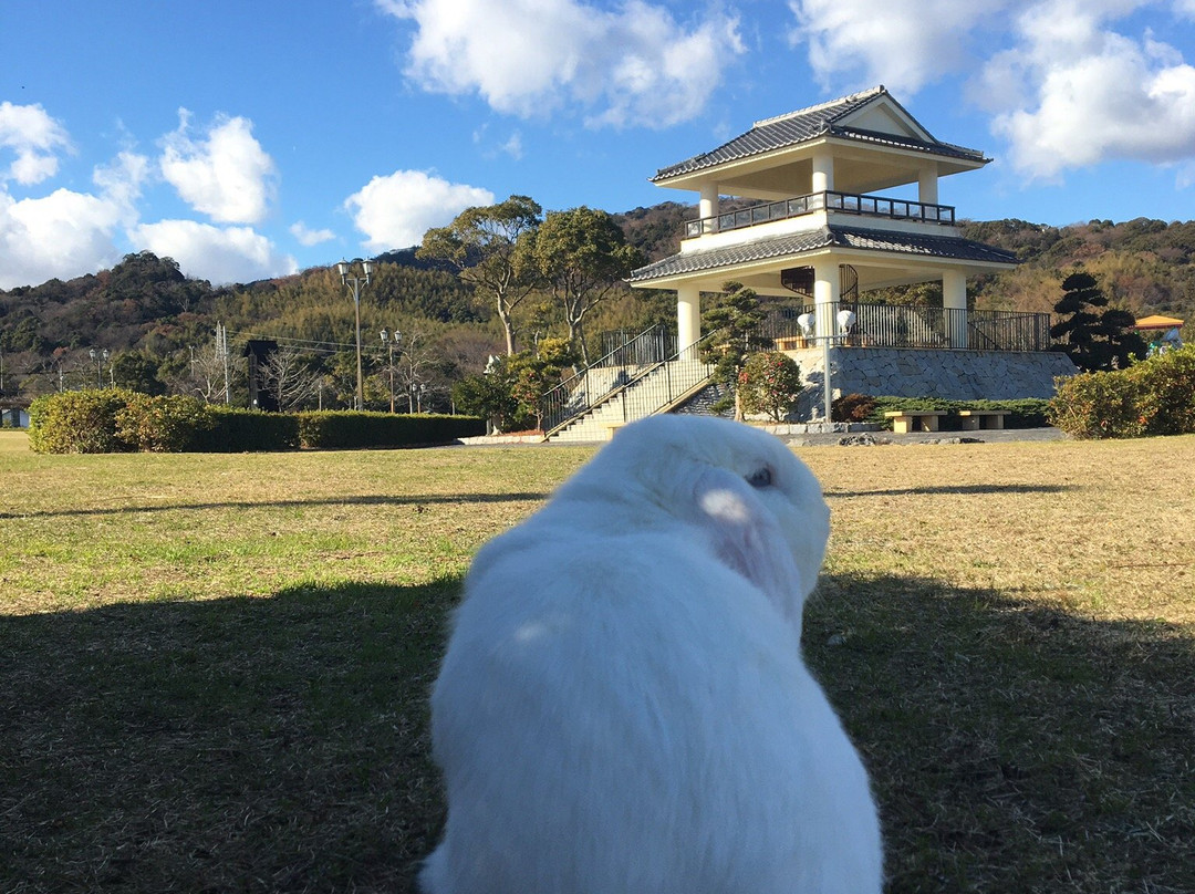 Sodayama Park-蒲郡港必去景点