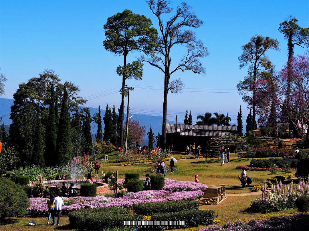 Chiang Mai Royal Agricultural Research Centre (Khun Wang)-夜旺必去景点