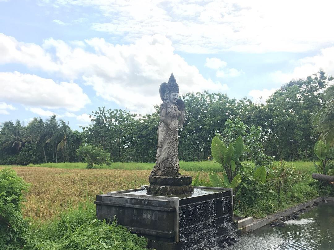 My Bali Journey景点图片