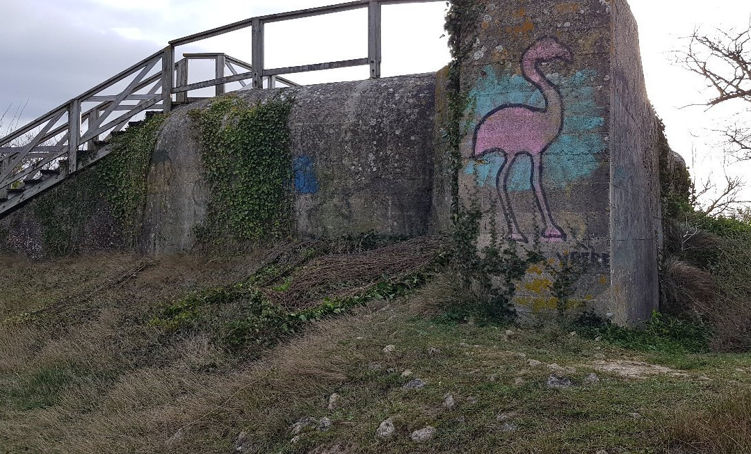 Le Mur de l’Atlantique et les bunkers de Cayeux景点图片