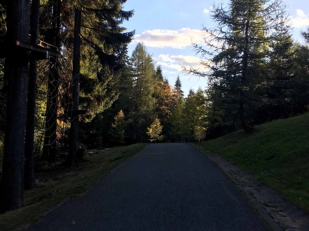 Bobsleigh & MonkeyPark Spindleruv Mlyn a Harrachov.-哈拉霍夫必去景点